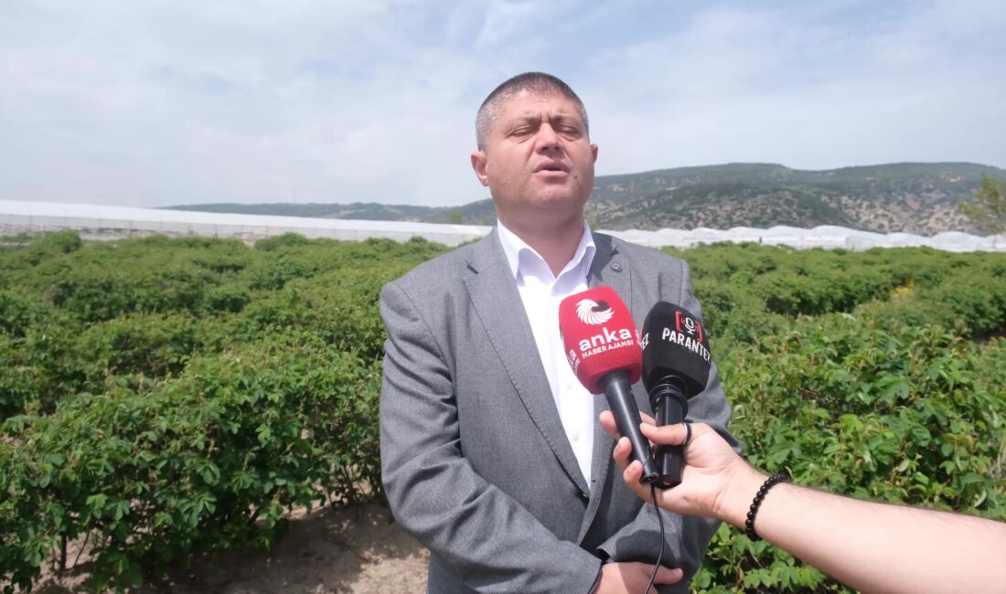 Isparta Ziraat Odası Başkanı Mustahattin Can Selçuk, Gülyağı ve Yağlı Tohumlar Tarım