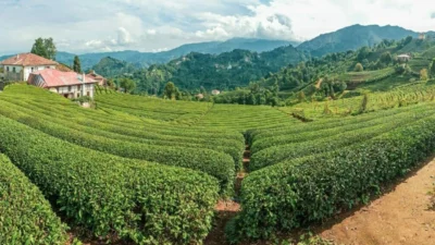 Kullanıcılar 53 plaka nerenin kodu, 53 plaka hangi ile ait,