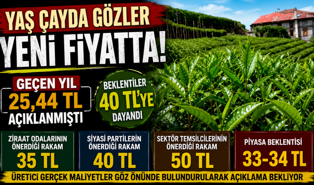 Karadeniz’de milyonlarca üreticinin merakla beklediği yaş çay alım fiyatı yeniden