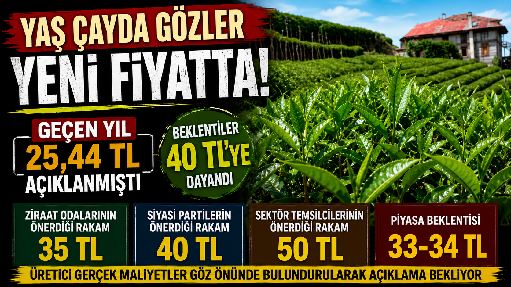 Karadeniz’de milyonlarca üreticinin merakla beklediği yaş çay alım fiyatı yeniden