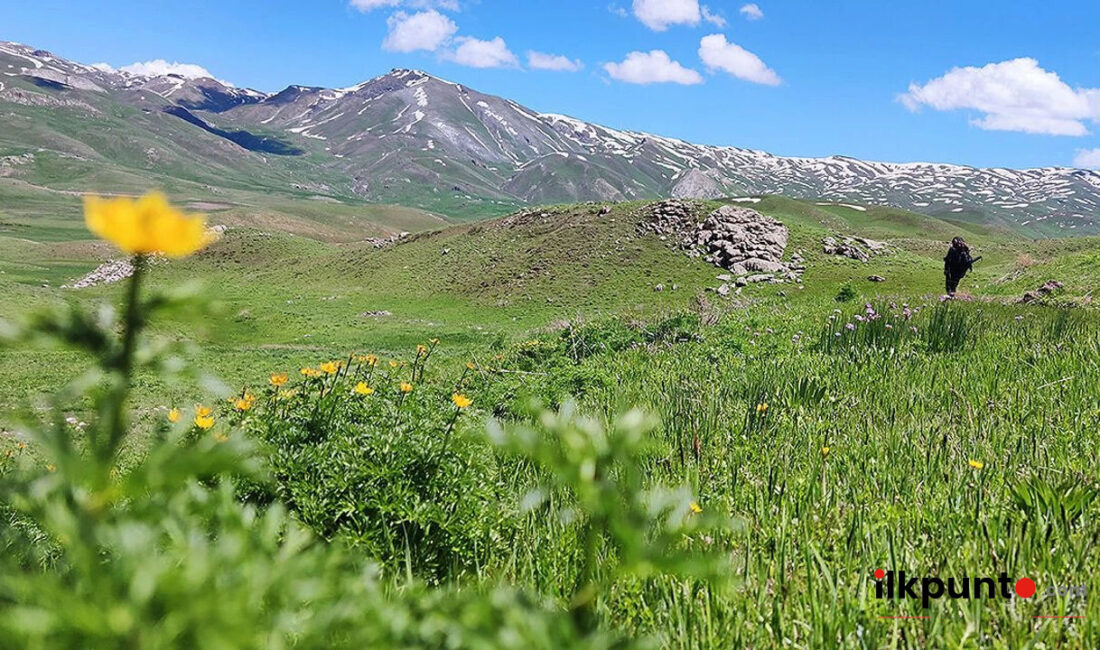Şırnak'ta baharın gelişiyle nerelere gidilir? Şehrin göz alıcı doğası ve
