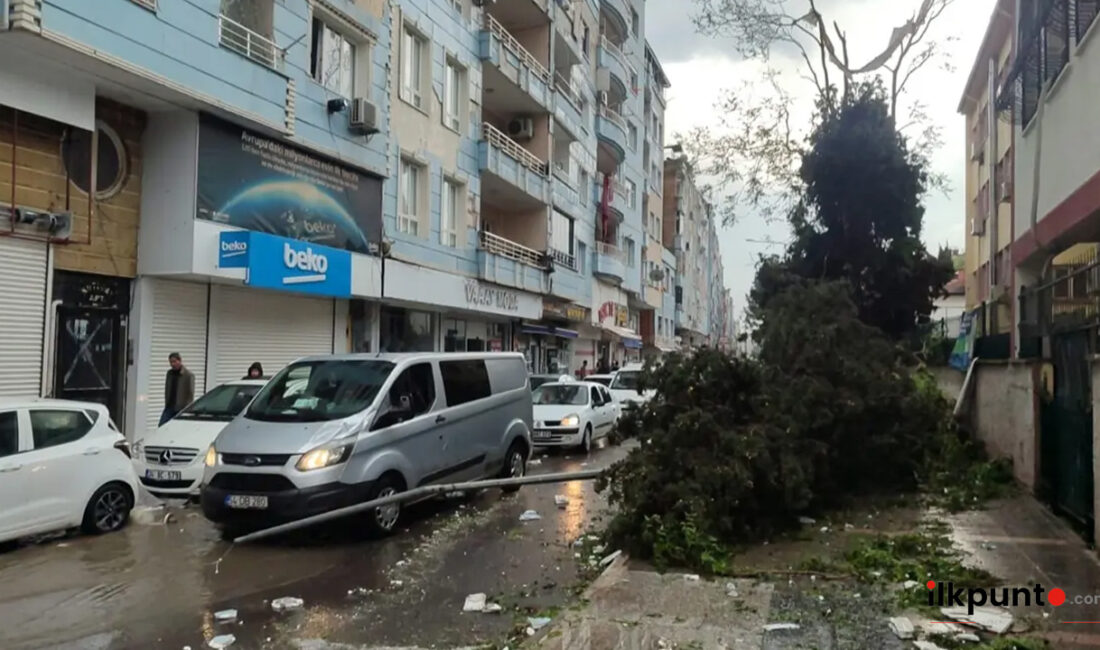 Şanlıurfa'nın Birecik ilçesinde etkili olan fırtına nedeniyle elektrik direğinin otomobilin