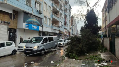 Şanlıurfa'nın Birecik ilçesinde etkili olan fırtına nedeniyle elektrik direğinin otomobilin
