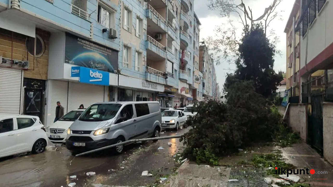 Şanlıurfa'nın Birecik ilçesinde etkili olan fırtına nedeniyle elektrik direğinin otomobilin