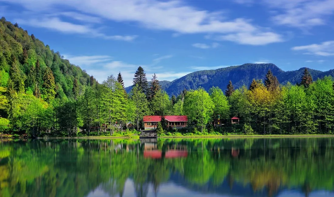 Doğa harikalarıyla bezeli Artvin, ailecek unutulmaz anlar yaşamak isteyenler için