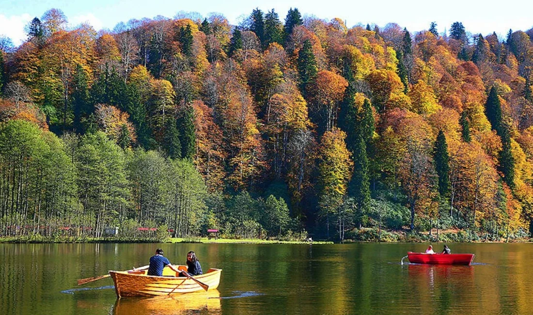 Türkiye'nin kuzeydoğusunda, doğal zenginlikleri ve muazzam manzaralarıyla öne çıkan Artvin,