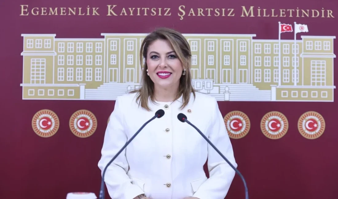 Cumhuriyet Halk Partisi (CHP) Giresun Milletvekili Elvan Işık Gezmiş, Meclis
