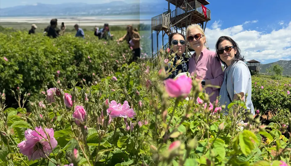 Isparta’da gül sezonu başladı. İlk güller Keçiborlu’ya bağlı Ardıçlı Köyü’nde