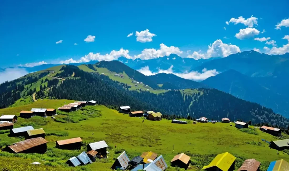 Rize ilçe kaymakamlıklarının güncel iletişim bilgilerine ulaşmak isteyen vatandaşların sayısı