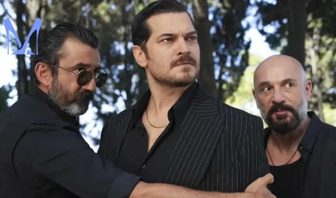 Kanal D ekranlarında yayınlanan Eşref Rüya dizisi, final yapmasının ardından