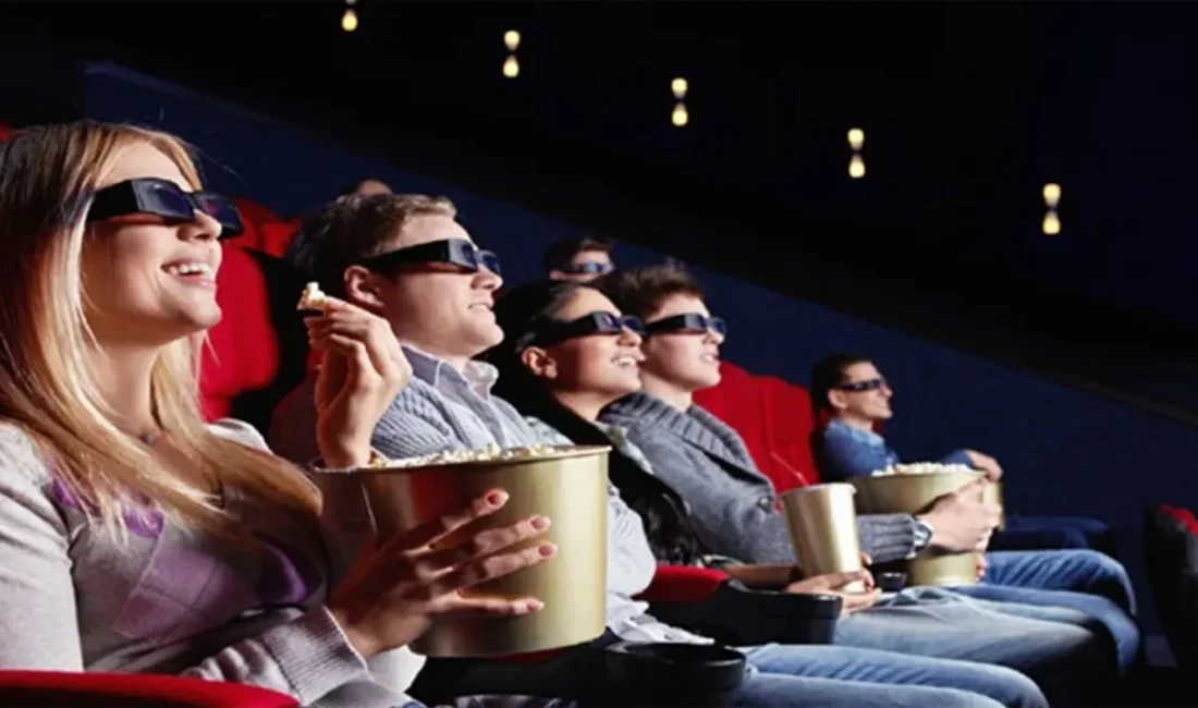 Türkiye İstatistik Kurumu (TÜİK) tarafından yayımlanan 2025 "Sinema ve Gösteri