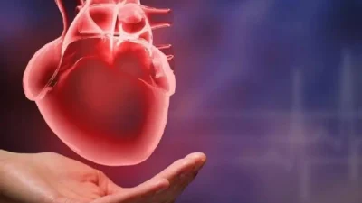 Yeni yapılan araştırmalar, kalp sağlığını desteklemenin en etkili yolunun yürüyüş