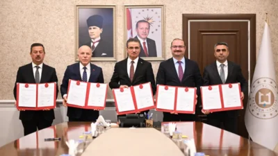 Erzurum’da sahipsiz sokak hayvanlarının korunması ve popülasyonlarının kontrol altına alınması