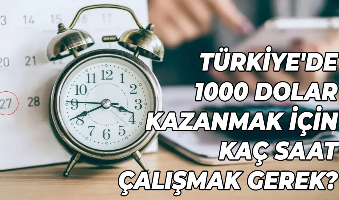 OECD'nin araştırmasına göre günde 1000 dolar kazanmak için en az