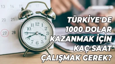OECD'nin araştırmasına göre günde 1000 dolar kazanmak için en az