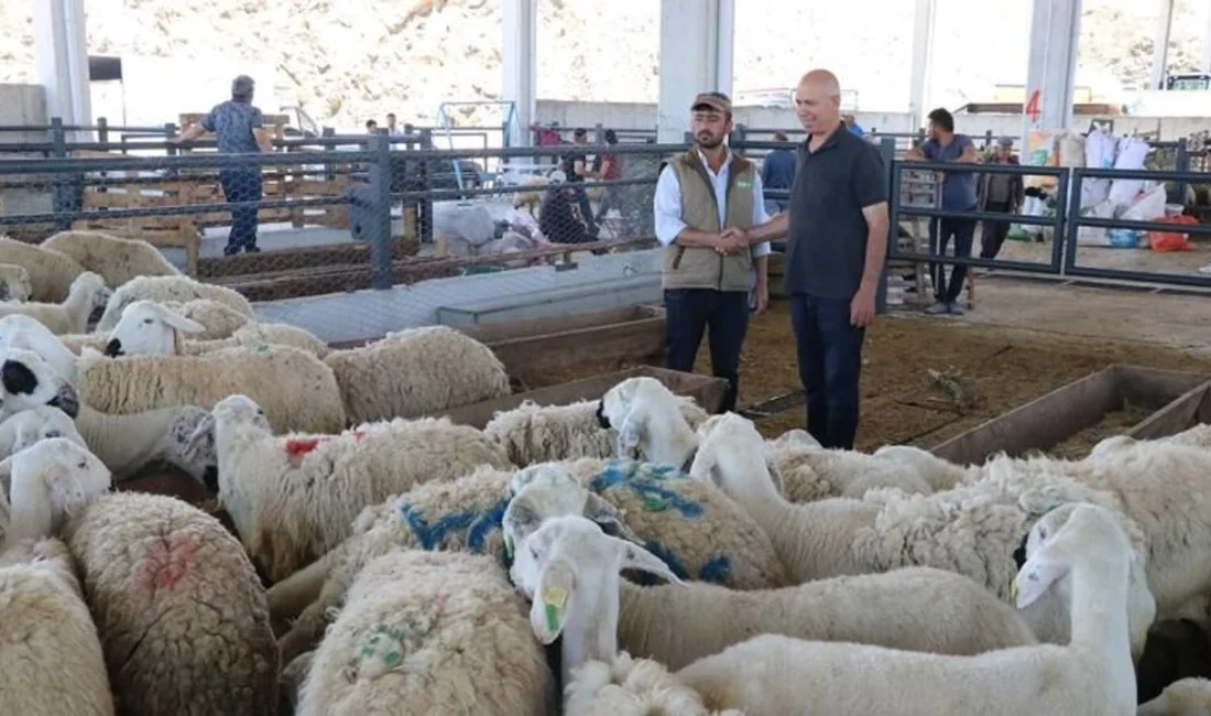 Kurban Bayramı geride kaldı ancak her yıl milyonlarca vatandaşın ibadetini