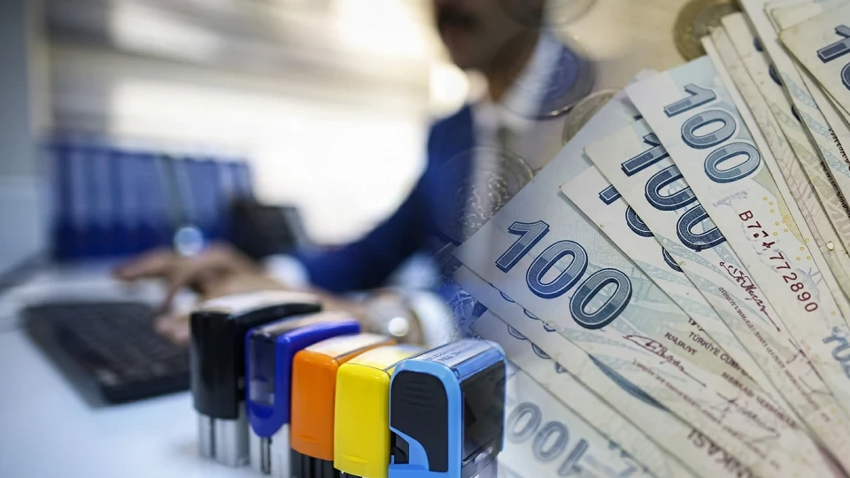 Resmi Gazete'de yayımlanan yeni düzenlemeyle devlet memurlarının maaş ve tazminat