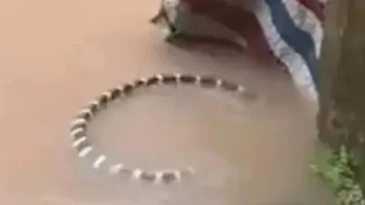 Çin'in güneyindeki Guangşi Cuang Özerk Bölgesi'nde etkili olan şiddetli yağışların