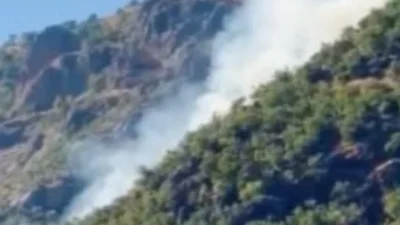 Tunceli’de Munzur Vadisi Milli Parkı sınırlarında çıkan orman yangınına çok