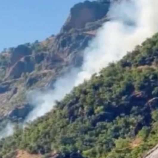 Tunceli’de Munzur Vadisi Milli Parkı sınırlarında çıkan orman yangınına çok