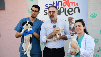 Kestel Belediyesi, sokak hayvanlarının sıcak ve güvenli yuvalara kavuşmasını kolaylaştırmak