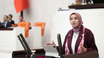 DEVA Partisi Genel Başkan Yardımcısı ve İstanbul Milletvekili Elif Esen,