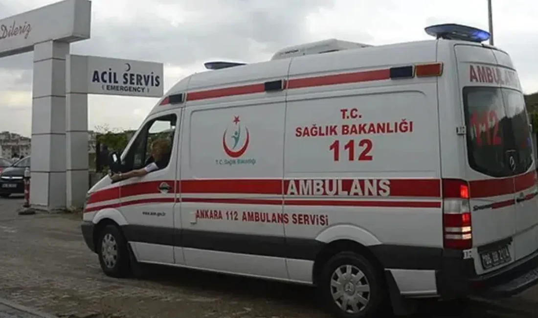 Burdur’un Bucak ilçesine bağlı Beşkonak köyünde ot toplamak için dağlık