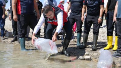 Tarım ve Orman Bakanlığı tarafından yürütülen Balıklandırma Projesi kapsamında Niğde'nin