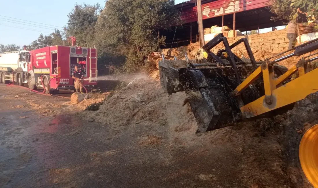 Hatay’ın Defne ilçesinde bir samanlıkta çıkan yangın, itfaiye ekiplerinin müdahalesiyle