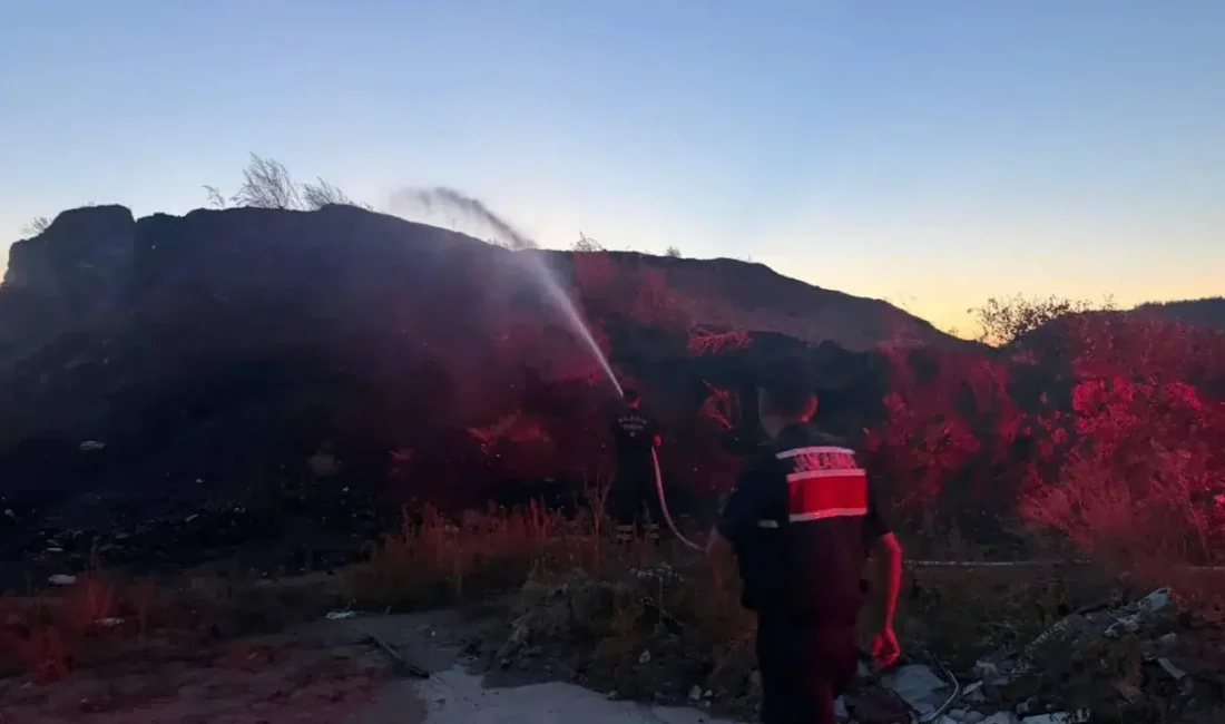 Bilecik'in Kızıldamlar köyü mevkiinde çıkan ot ve çalılık yangını, itfaiye