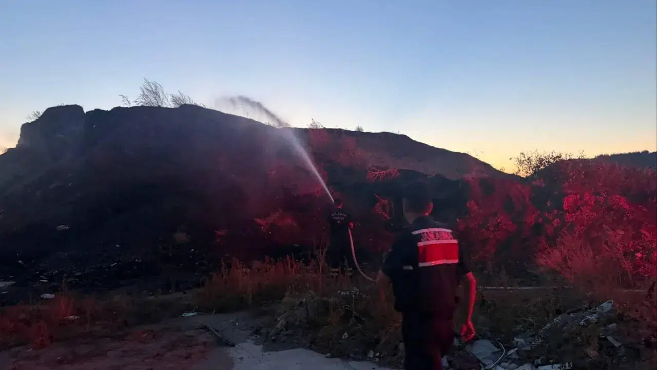 Bilecik'in Kızıldamlar köyü mevkiinde çıkan ot ve çalılık yangını, itfaiye