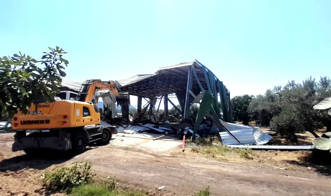 Osmangazi Belediyesi, Demirtaş Barbaros Mahallesi'nde zeytinlik alana inşa edilen 524