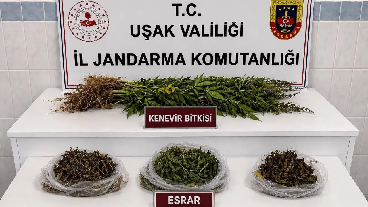Uşak’ın Sivaslı ve Banaz ilçelerinde jandarma ekiplerince düzenlenen operasyonlarda binlerce