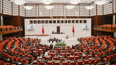 TBMM Genel Kurulu'nda konuşan AK Parti Erzurum Milletvekili Fatma Öncü,