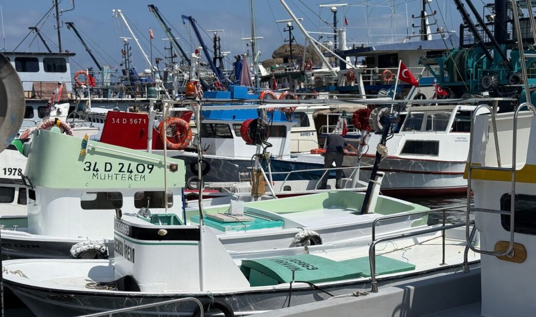 Denizlerde yeni av sezonu 1 Eylül'de açılıyor. Balıkçılar, teknelerini ve