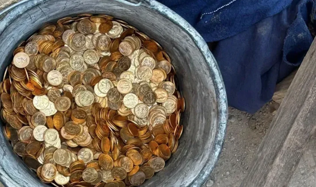 Belçika'nın Dendermonde kentinde tadilat sırasında bir binanın duvarına gizlenmiş yaklaşık