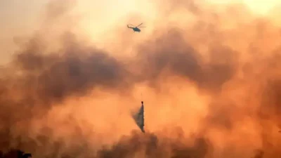 Cezayir'in doğusundaki vilayetlerde çıkan orman yangınlarında 12 kişi yaşamını yitirdi.