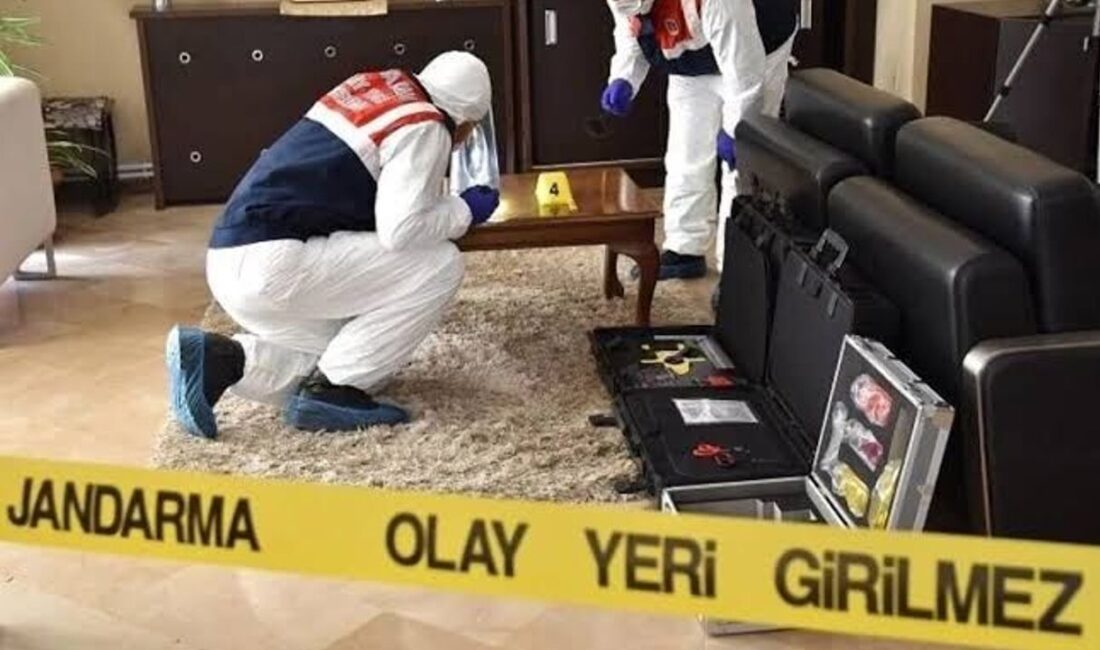 Niğde İl Emniyet Müdürlüğü ve İl Jandarma Komutanlığı bünyesinde görev