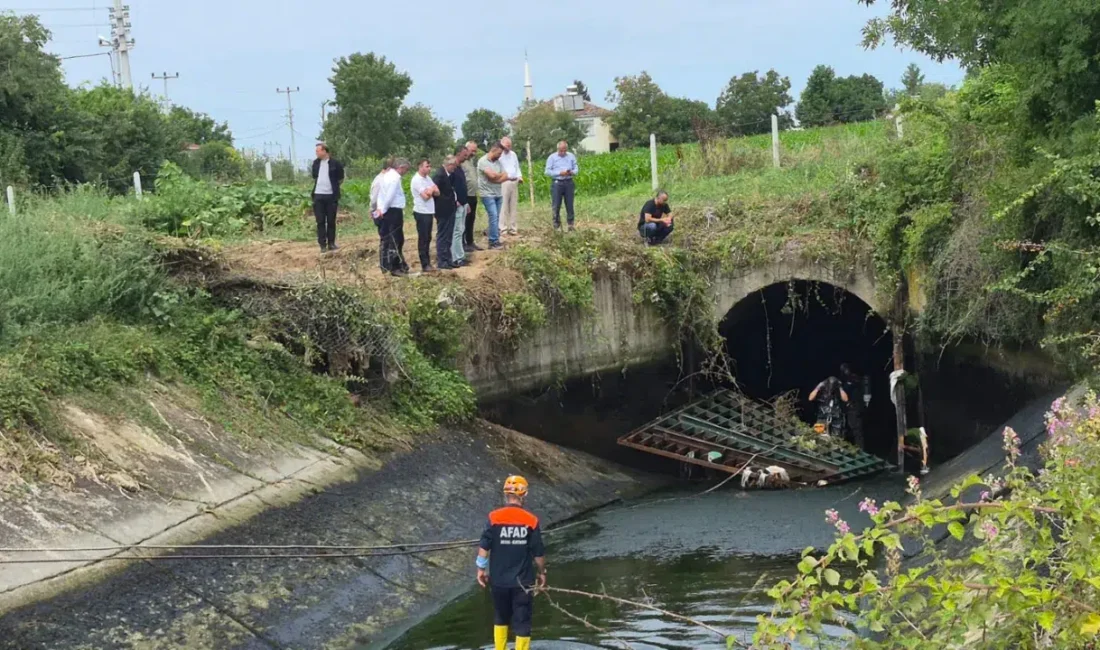 Samsun'un Bafra ilçesinde belirlenemeyen nedenle kontrolden çıkan otomobil sulama kanalına