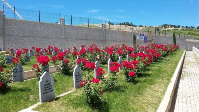 Kahramanmaraş'ta vefat edenler sıkça aratılıyor. Bugün (27 Ağustos Perşembe) Kahramanmaraş'ta