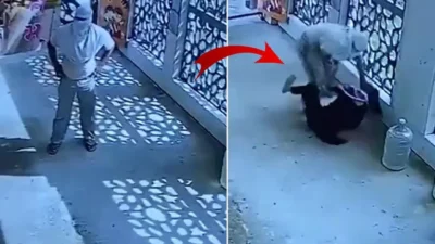 Hindistan'da 21 yaşındaki bir genç, reddedildiği öğretmeni okul kapısında defalarca