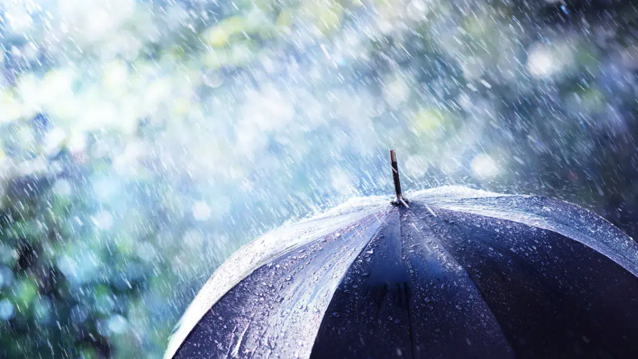 Meteoroloji Genel Müdürlüğü’nün (MGM) son tahminlerine göre Doğu Akdeniz, Doğu