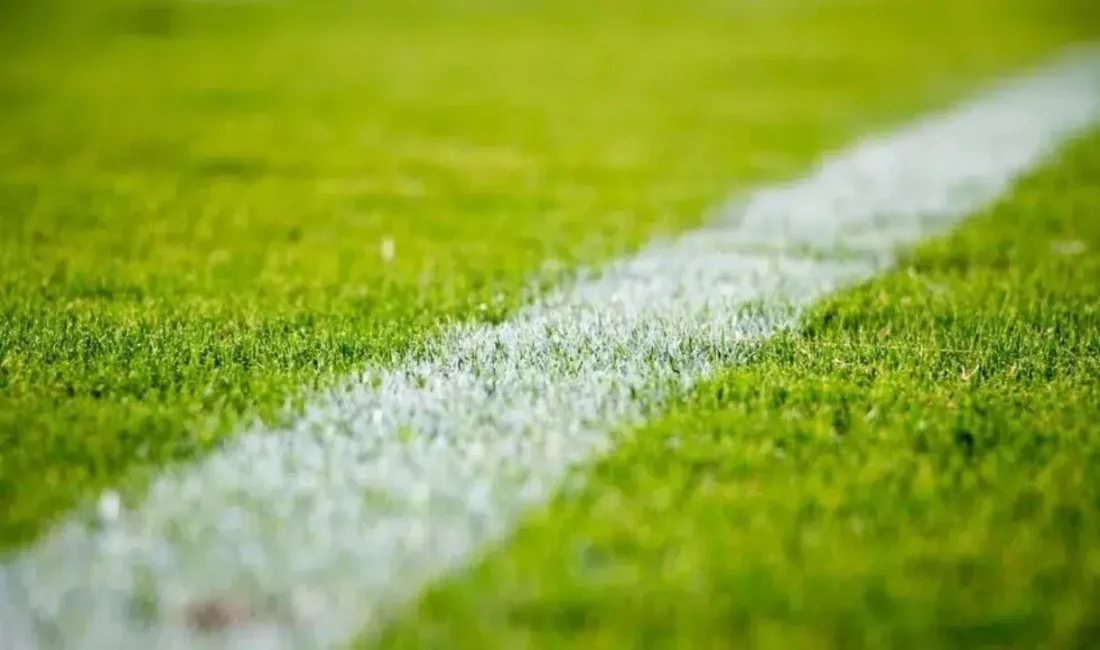 Türkiye Futbol Federasyonu (TFF), Trendyol Süper Lig'in 2. ve 3.