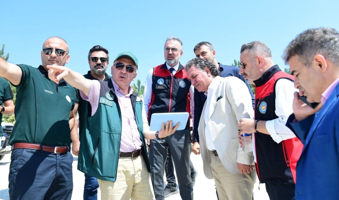 Kestel Belediye Başkanı Ferhat Erol, 4 bin 200 dekar tarım