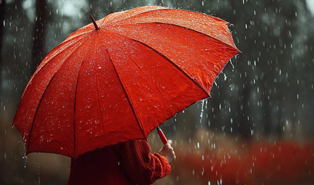 Meteoroloji Genel Müdürlüğü'nün yayınladığı hava tahmin raporuna göre Bursa'da hafta