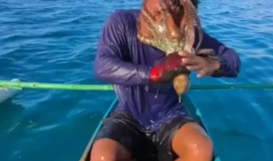 Yakaladığı ahtapot yüzüne yapışan balıkçı, güçlü vantuzlardan kurtulmak için bambu