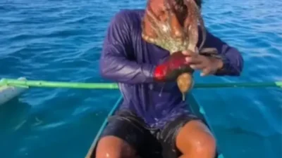 Yakaladığı ahtapot yüzüne yapışan balıkçı, güçlü vantuzlardan kurtulmak için bambu